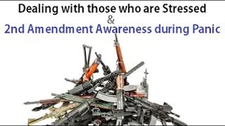 Dealing with people who are Stressed  Second Amendment Awareness during Panic