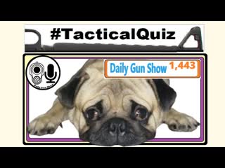 Tactical 20 Questions - LIVE for Prizes -  Tactical Quiz (Season Two, Episode 35)
