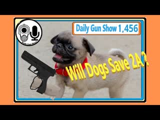 Will Dogs Save 2A ?