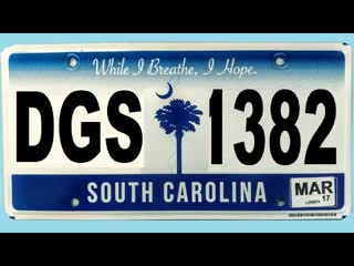 2A in South Carolina