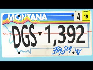 2A in Montana