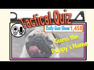 Guess the Puppy’s Name while we Draw a Puppy in all 3 Dimentions