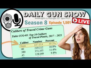 Does the new ATF Data Suggests Link Between Gun Sales and Violence ??