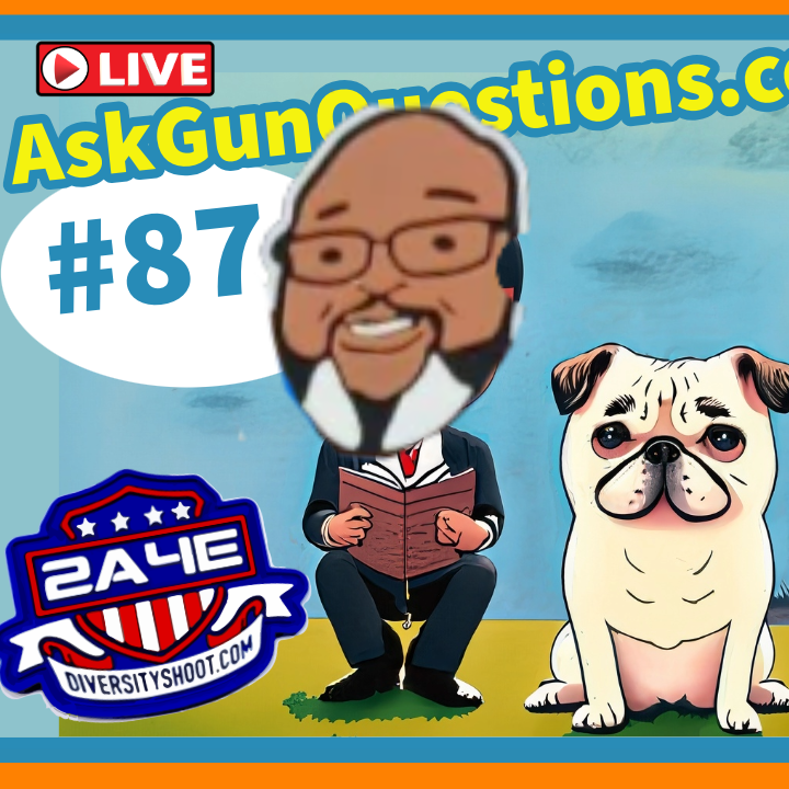 Ask Gun Questions no.87