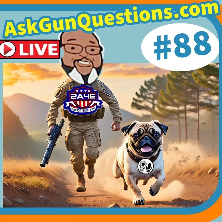 Ask Gun Questions no.88