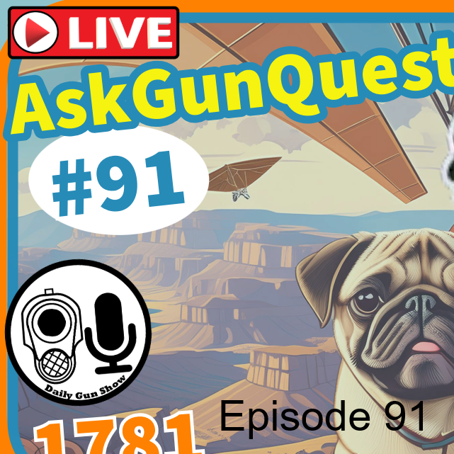 Ask Gun Questions no.91
