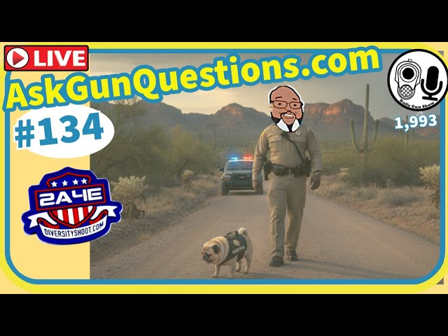 Ask Gun Questions no.134