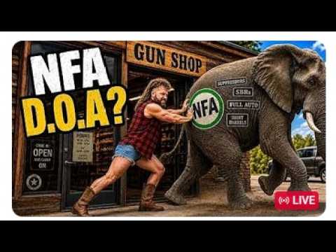 Talking Guns