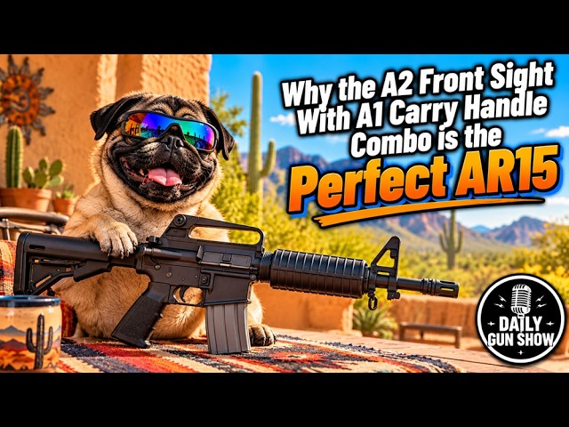 Why the A2 Front Sight With an A1 Carry Handle Is the Perfect AR-15 – DGS Special Edition